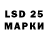 АМФЕТАМИН Premium Proyectos LED