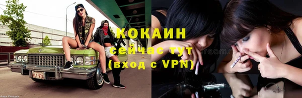 прущие грибы Приозерск