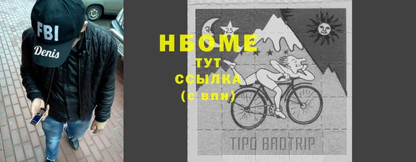 винт Губаха