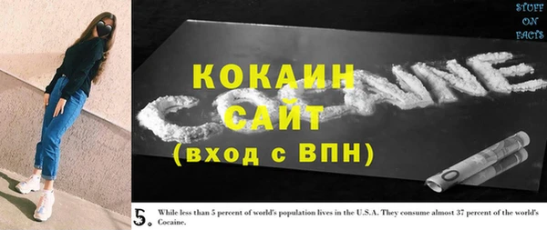 прущие грибы Приозерск