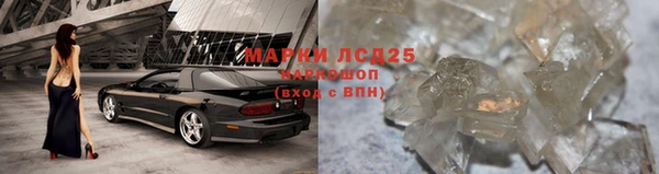 прущие грибы Приозерск
