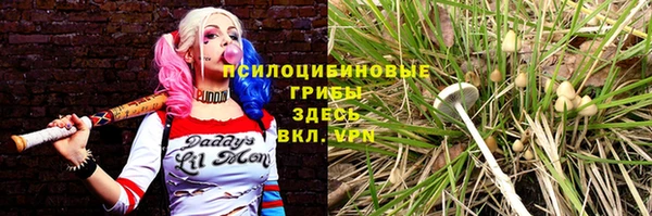 MDMA Premium VHQ Ростов