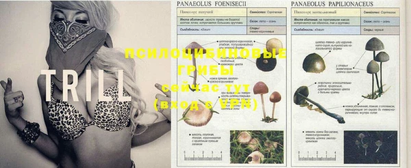 MDMA Premium VHQ Ростов