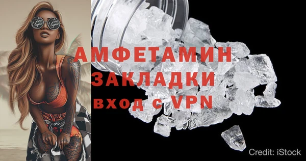 прущие грибы Приозерск